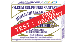 haarlem trail offer