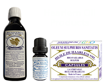 haarlem produits